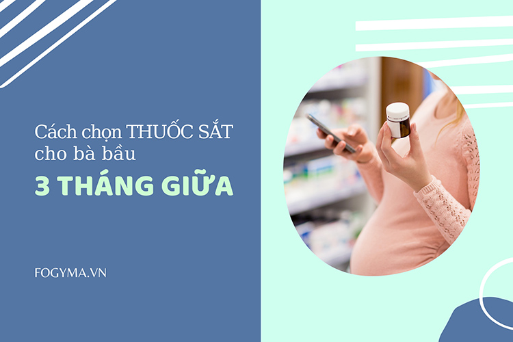 3. Các Loại Thuốc Sắt Phổ Biến Cho Bà Bầu 3 Tháng Giữa