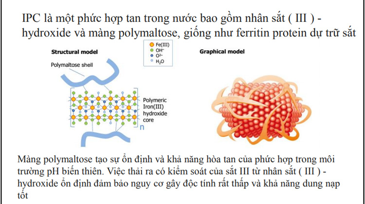 Thành phần 1