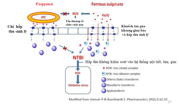 Thuốc sắt 3 Hydroxide Polymaltose có tương tác với các loại thuốc khác không?
