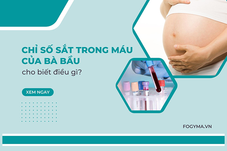 Chỉ số sắt trong máu của bà bầu cho biết điều gì? 1