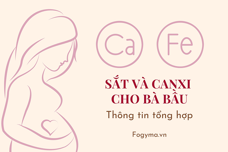 Sắt và canxi cho bà bầu: thông tin tổng hợp từ A - Z 1