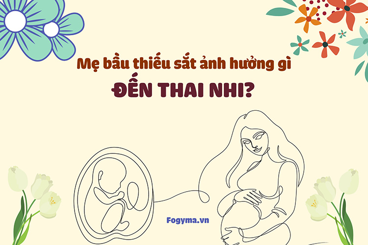 Mẹ bầu thiếu sắt ảnh hưởng gì đến thai nhi? Xem ngay! 1