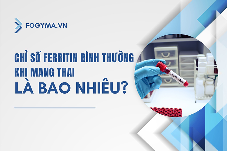 Chỉ số Ferritin bình thường khi mang thai? Ý nghĩa 1