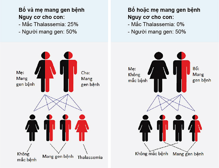 Ảnh hưởng đến thai nhi 3