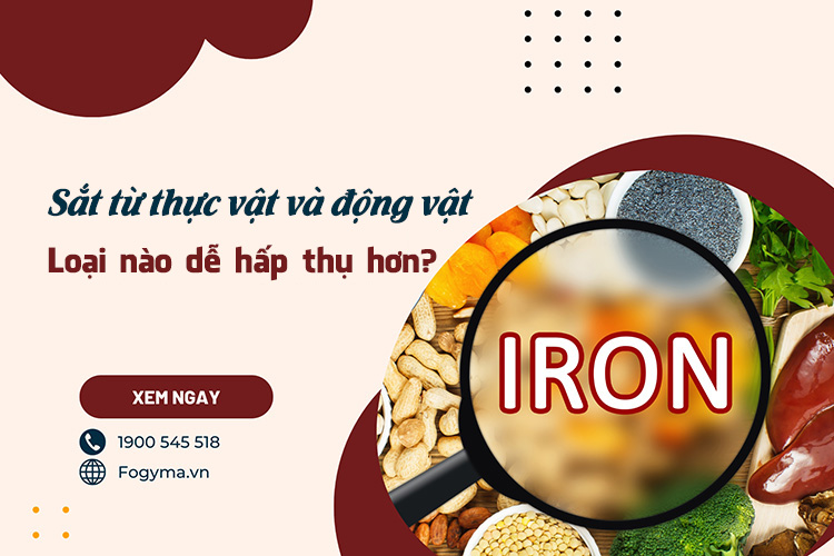 Sắt từ thực vật và động vật: Loại nào dễ hấp thụ hơn?